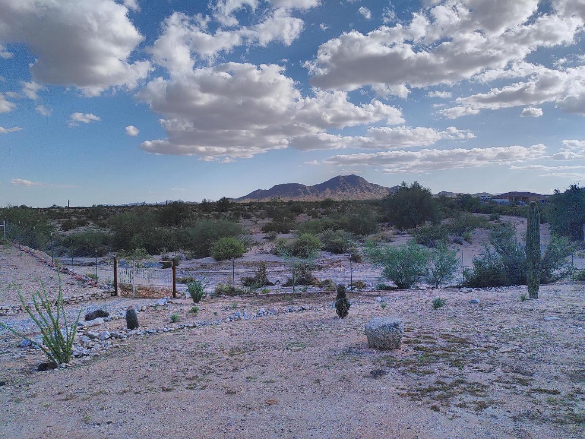 Desert stretching off into the distance, where a mountain rises up