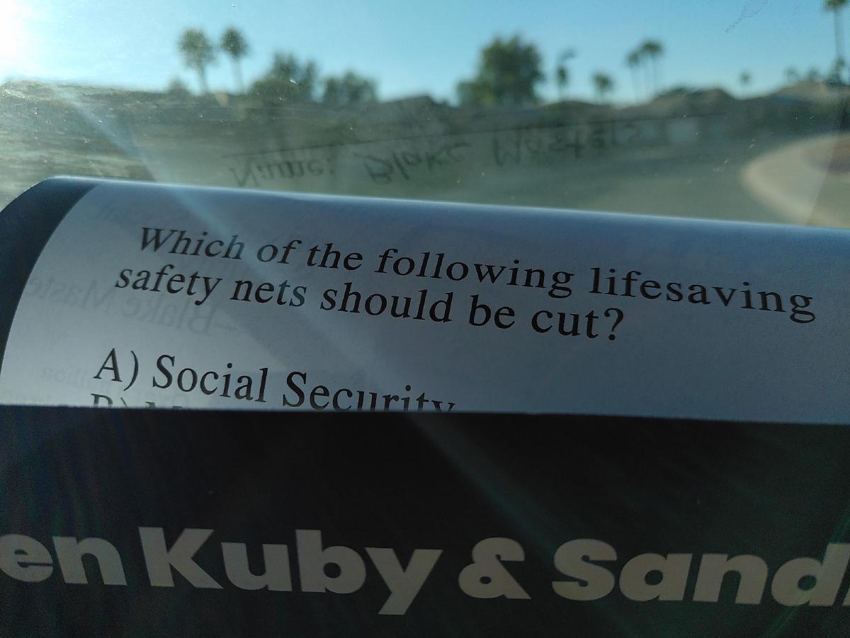 A political leaflet asking voters ‘which of the following lifesaving safety nets should be cut?’