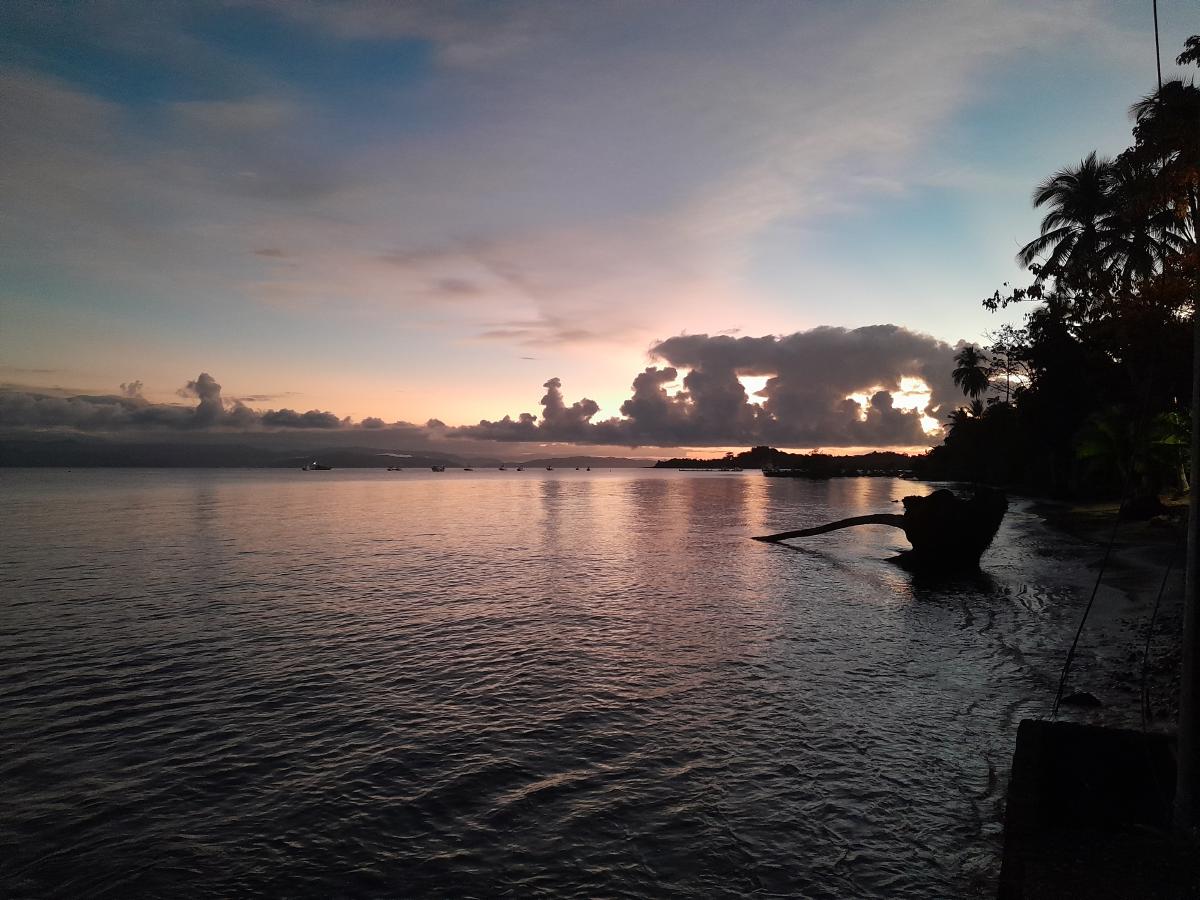 The sun rising over a beach