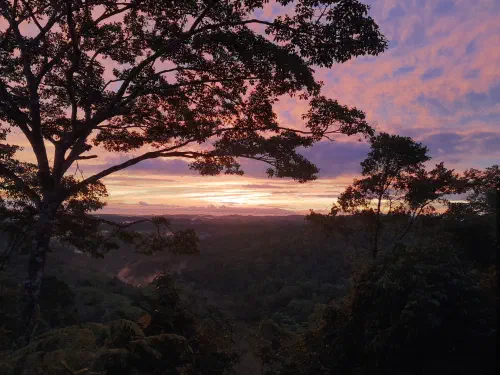 The sun rising over the jungle