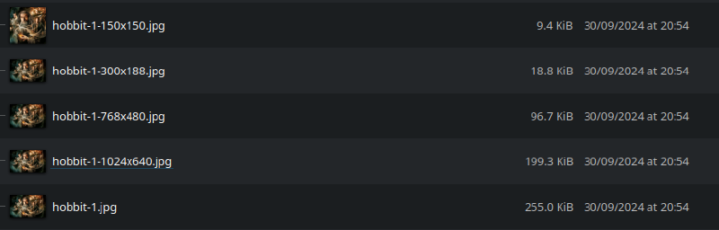 Five copies of the same files, ranging from full-size (225 KiB) down to 150×150 (9.4 KiB)