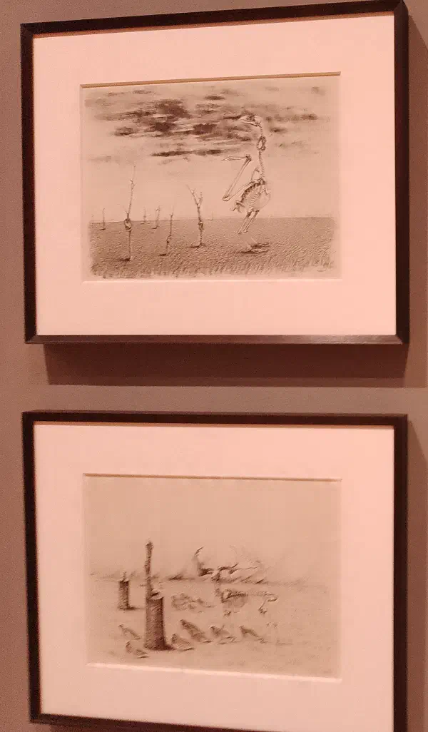 Surreal images of skeletons in desolate landscapes