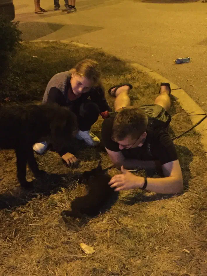 The author laying on his stomach and playing with a puppy