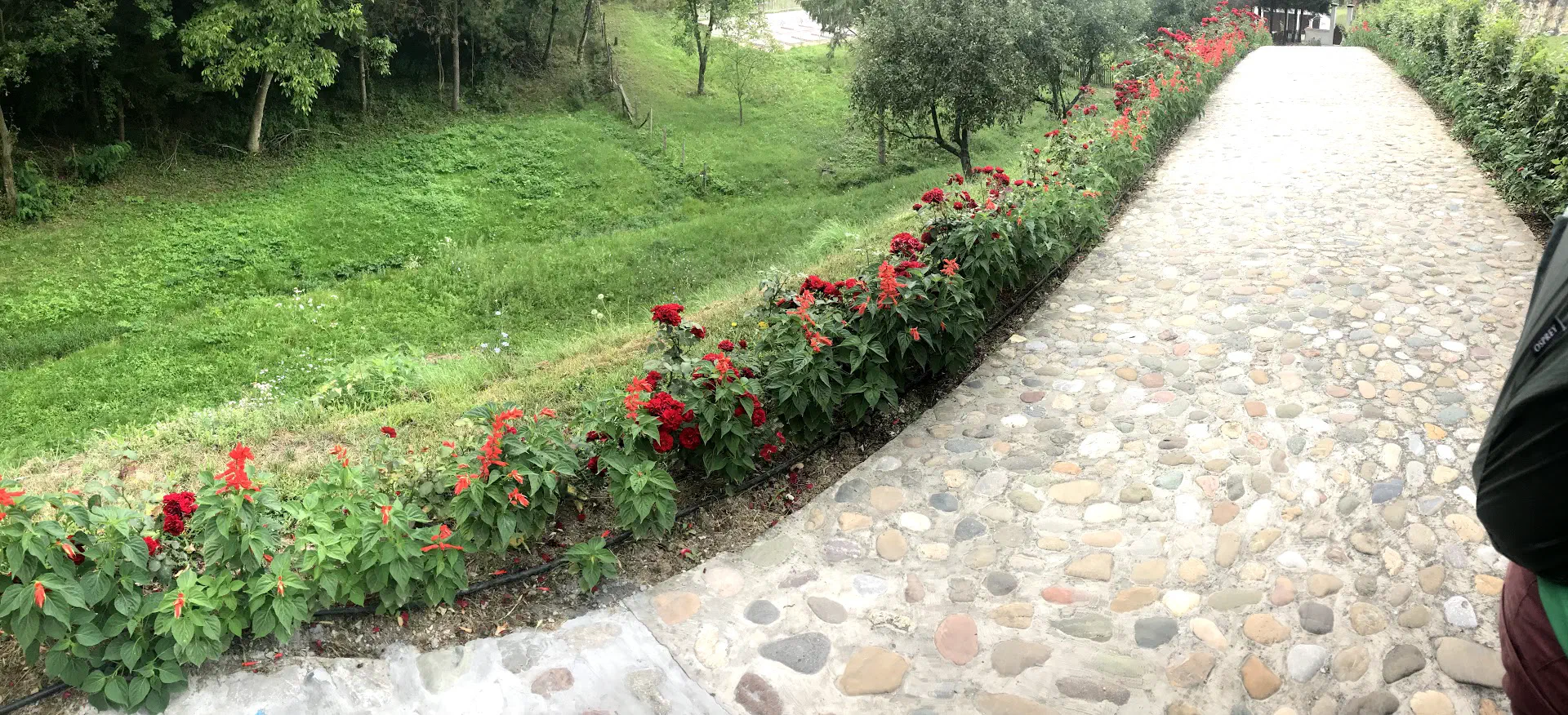 A cobbled path, lined with flowers