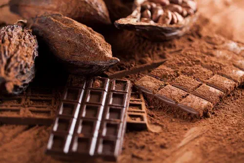 Cocoa beans, powder and bars of chocolate