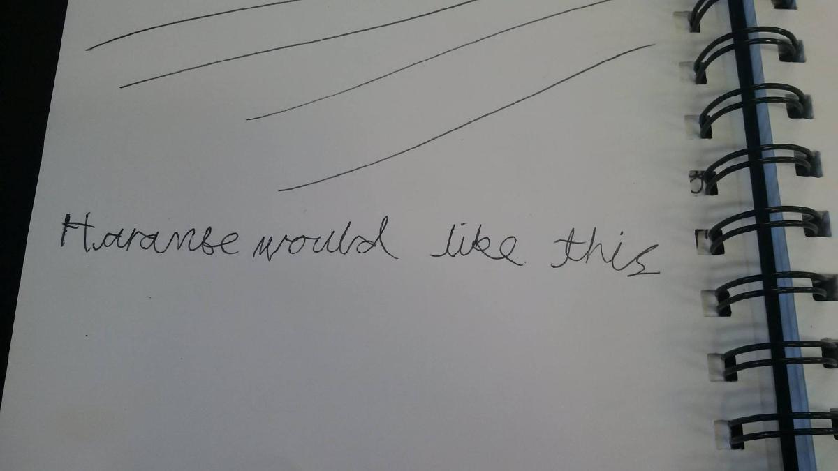 A child's entry into a logbook, reading: ‘Harambe would have liked this’