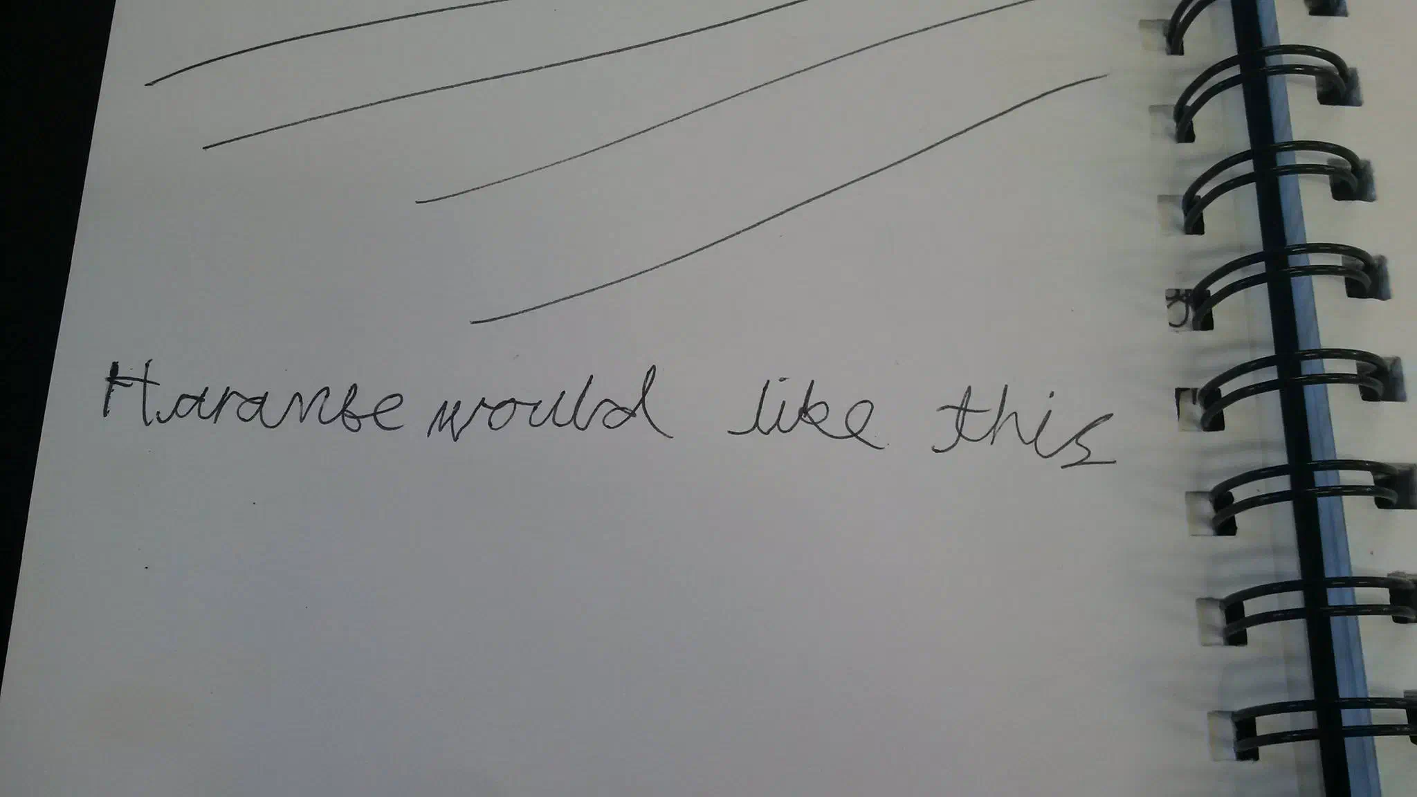 A child's entry into a logbook, reading: ‘Harambe would have liked this’