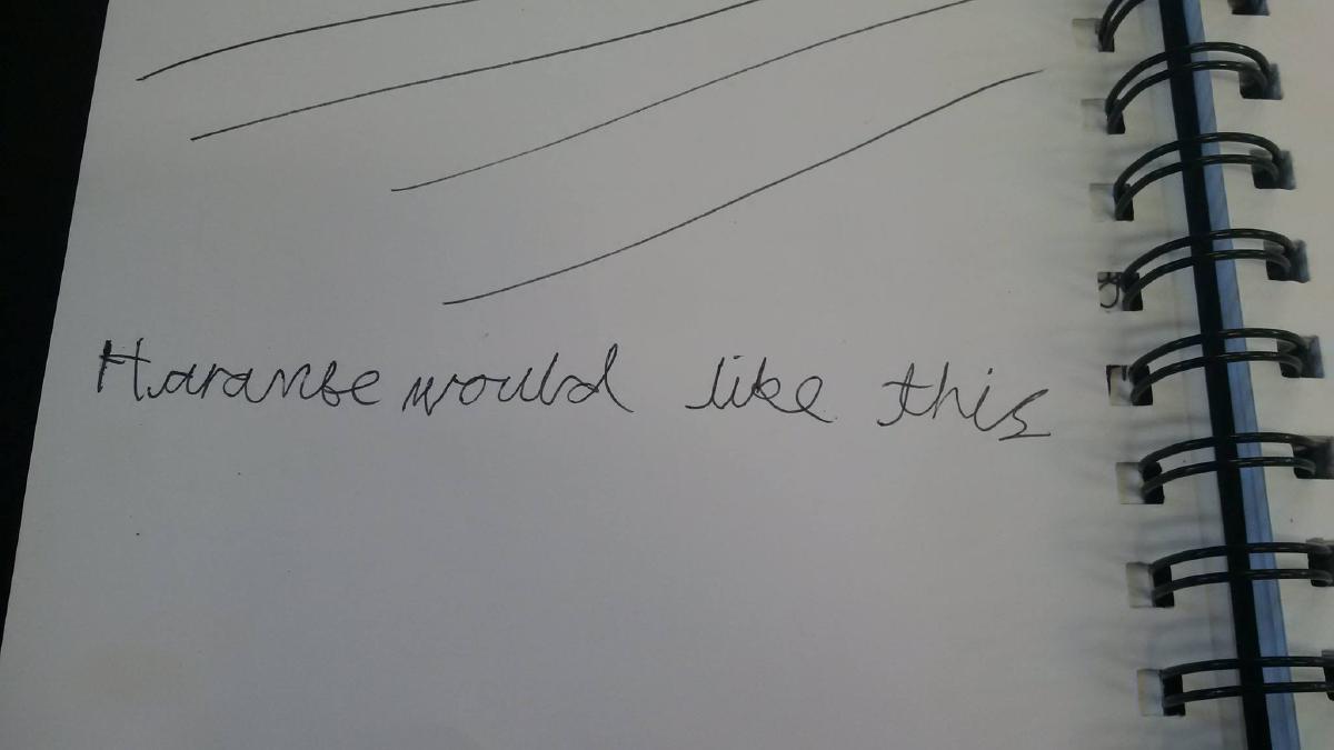A child's entry into a logbook, reading: ‘Harambe would have liked this’