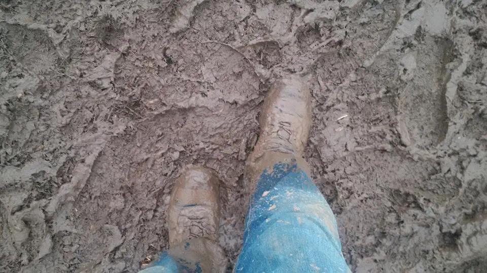 Looking down at my feed, buried in muddy slurry