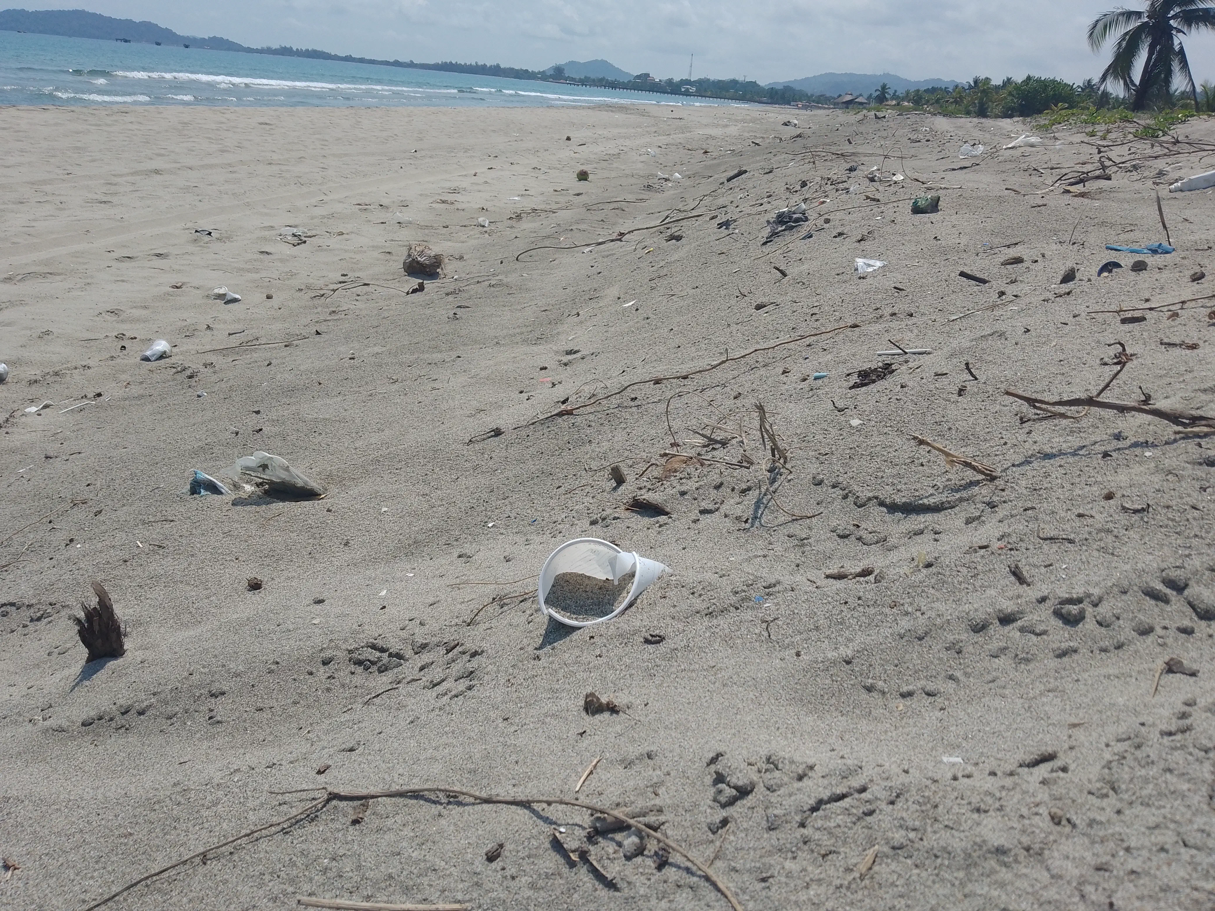 A beach littered with trash