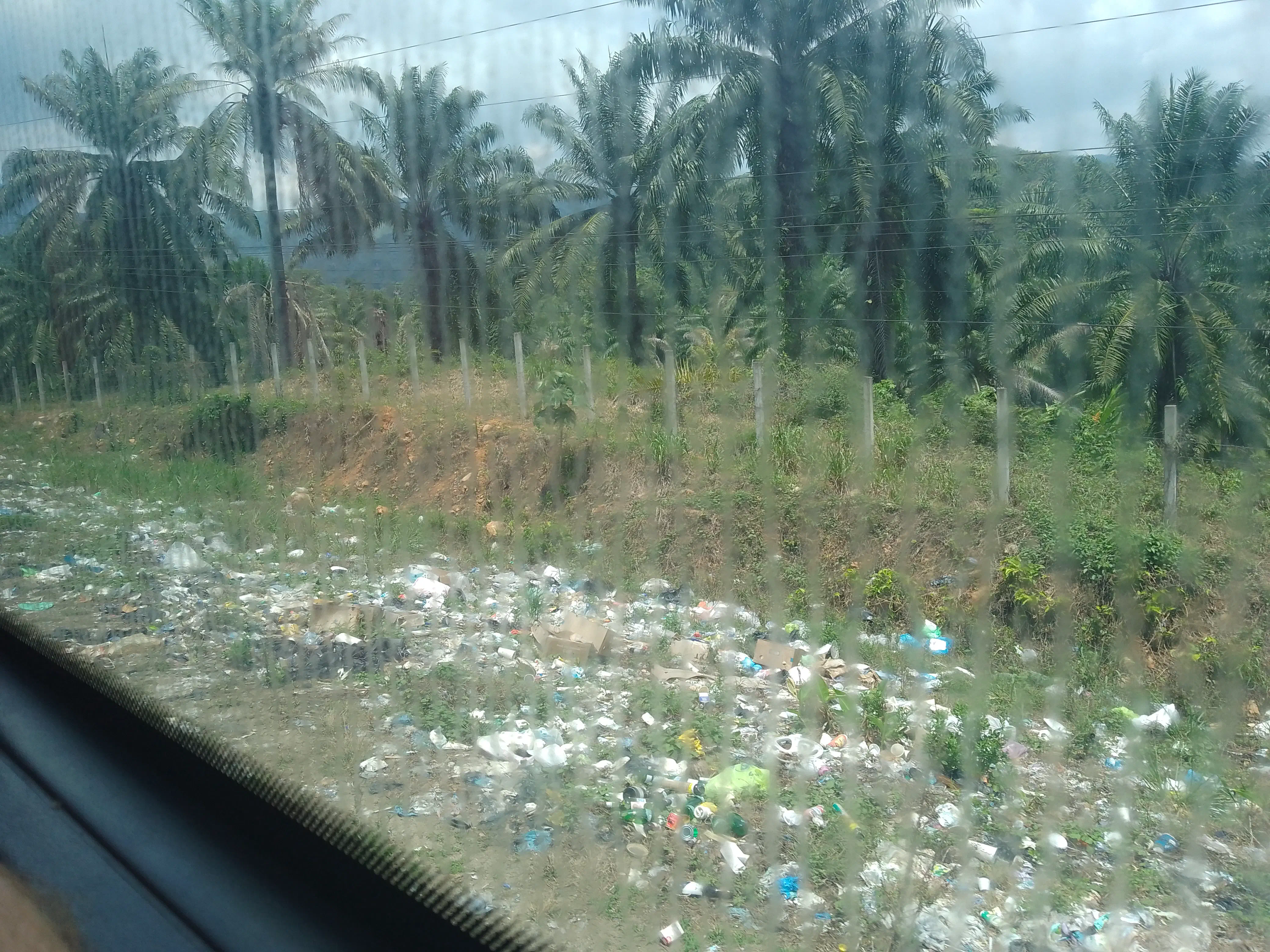A grass verge beside a road, covered in trash