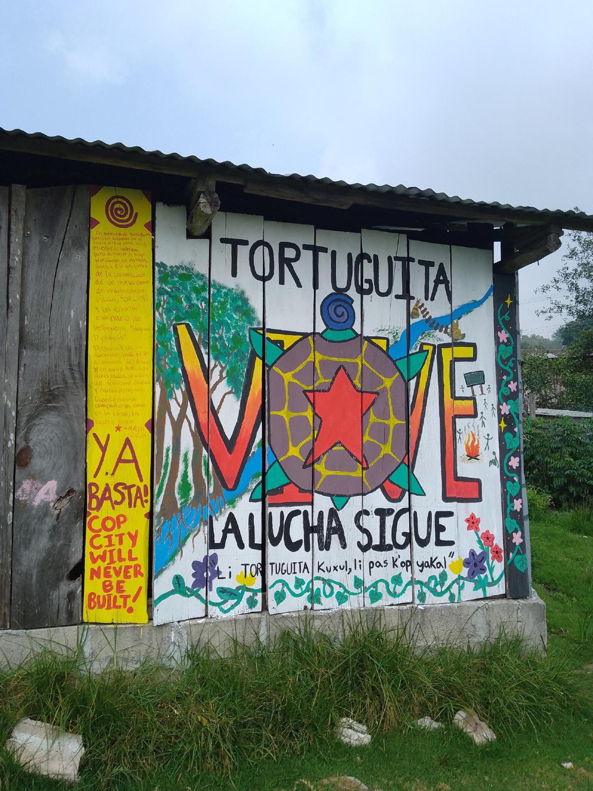 Mural of tortoise