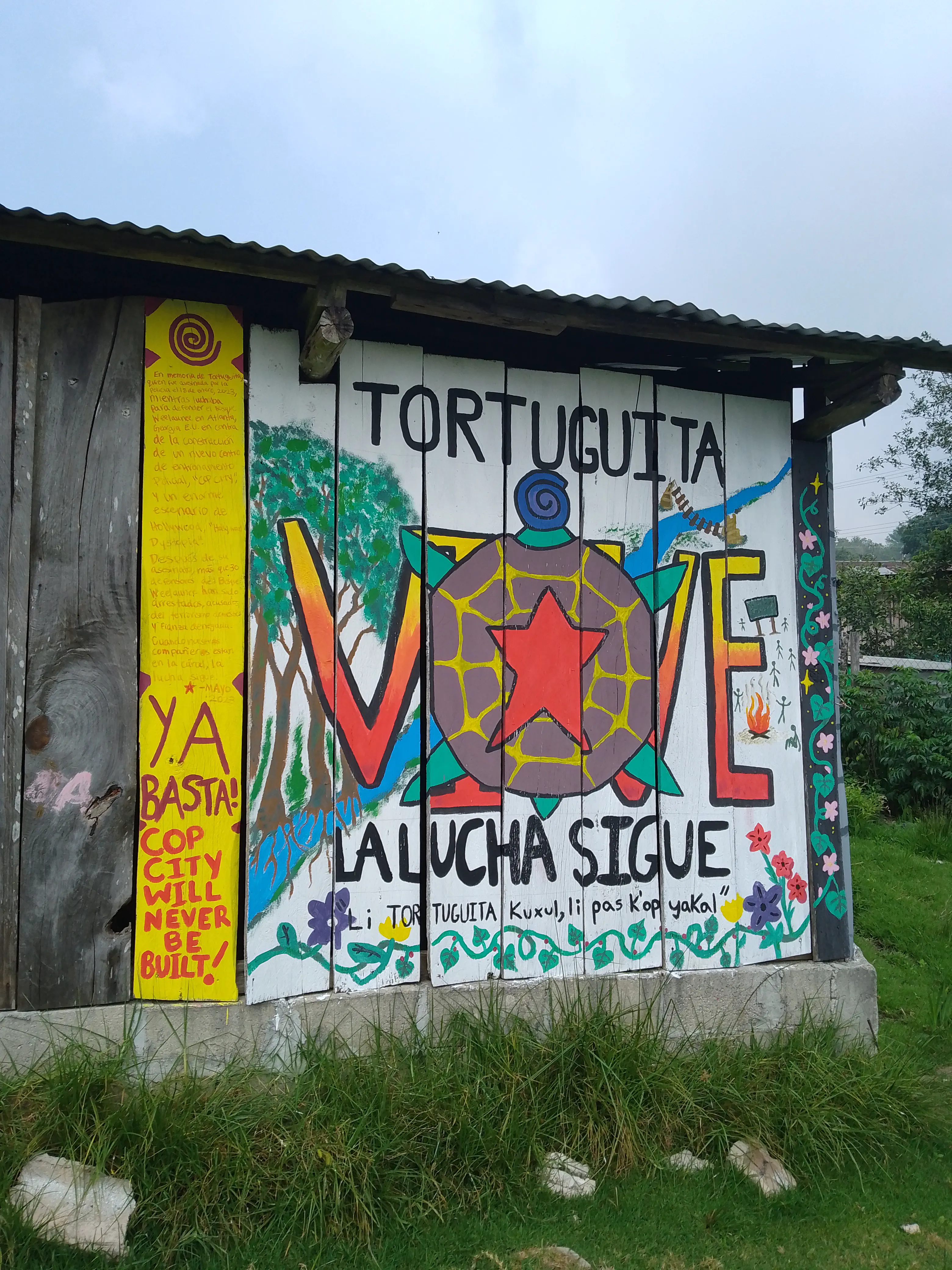 Mural of tortoise