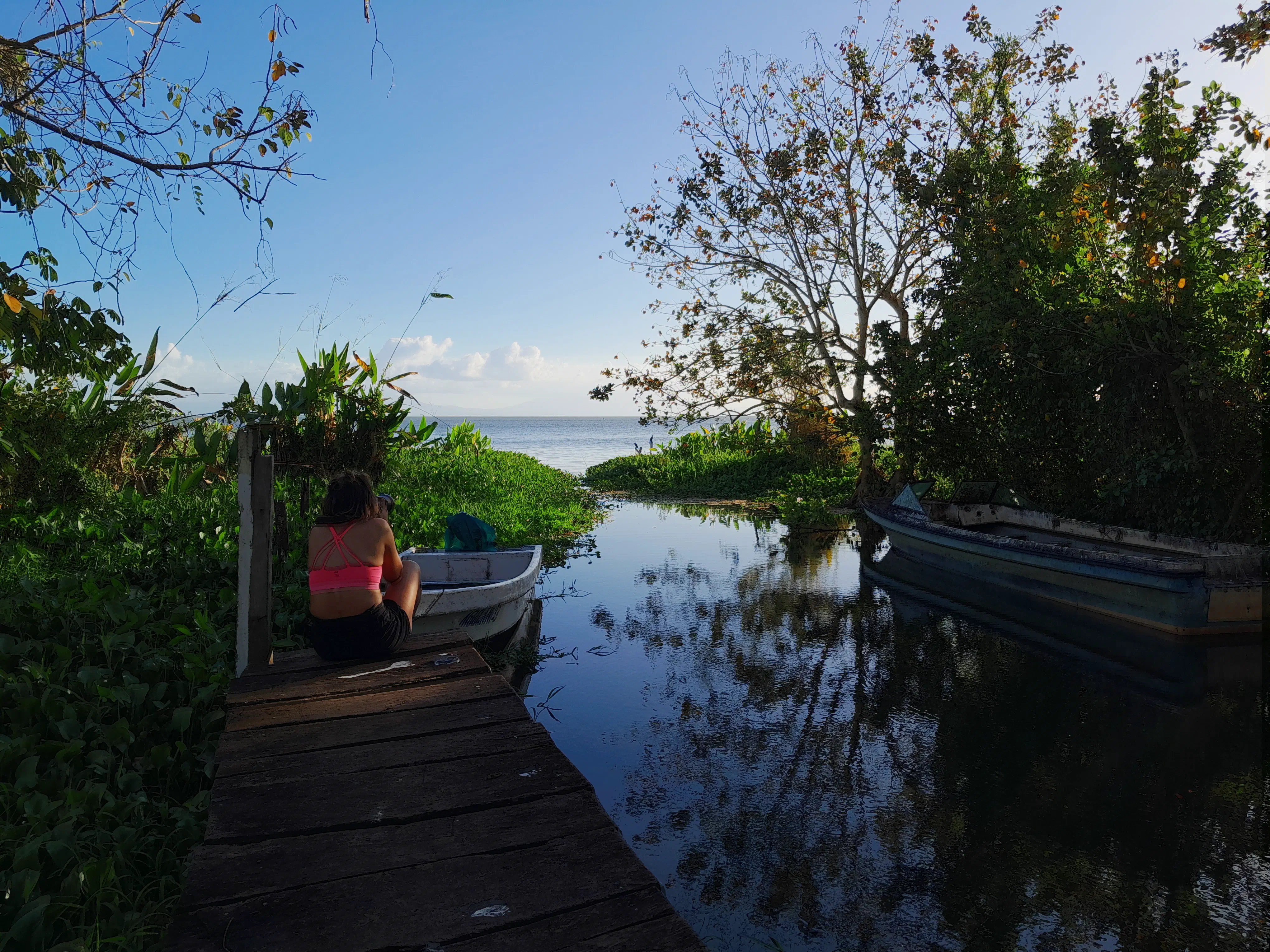 A woman sitting at the end of a pier, facing away from the camera and surrounded by foliage