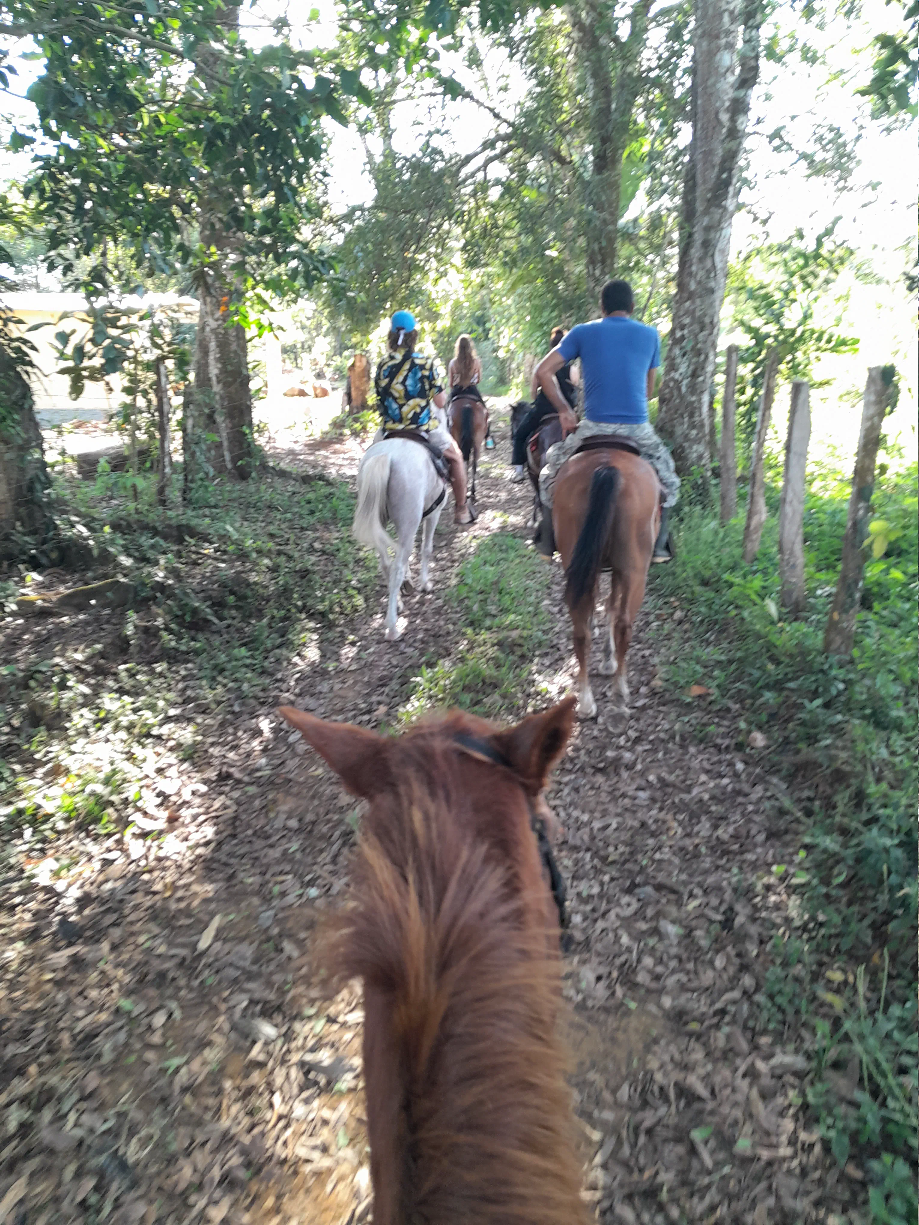 A group of people riding horses