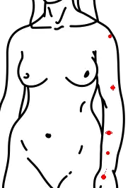 The solar system across an arm