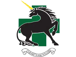 335 MER insignia