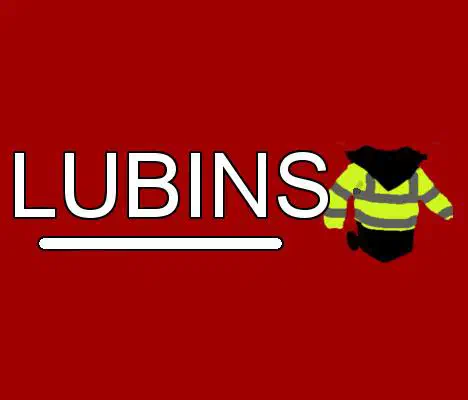 LUBINS logo