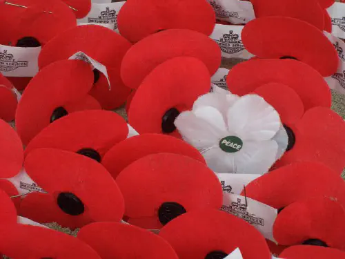 Red artificial poppies, along with a single white poppy
